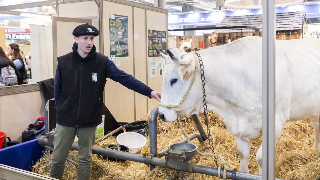 Témoignages
"On n'a pas assez d'argent pour vivre comme il faut" : au Salon de l'agriculture, les exploitants se confient sur leurs problèmes de trésorerie
Parmi les revendications des agriculteurs se trouve la prise en compte de leurs difficultés de trésorerie. Beaucoup sont pris en tenaille entre les fournisseurs à payer et un salaire difficile à dégager.