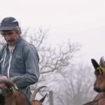 Crise agricole : retour sur le profil des paysans français
Tour d’horizon du profil des fermes françaises ces dernières années.