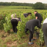 Agriculture : une mesure pour faciliter le recrutement des travailleurs étrangers
Le Premier ministre Gabriel Attal a annoncé la reconnaissance de l'agriculture comme un secteur sous tension. De quoi faciliter le recours à des travailleurs étrangers et répondre à la pénurie de main-d'œuvre. L'arrêté doit être publié dans les prochains jours.