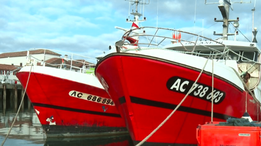 Biodiversité : reprise de la pêche dans golfe de Gascogne
Les pêcheurs du golfe de Gascogne peuvent reprendre leur activité, mercredi 21 février. Depuis un mois, la pêche était interdite dans la zone pour protéger les dauphins.