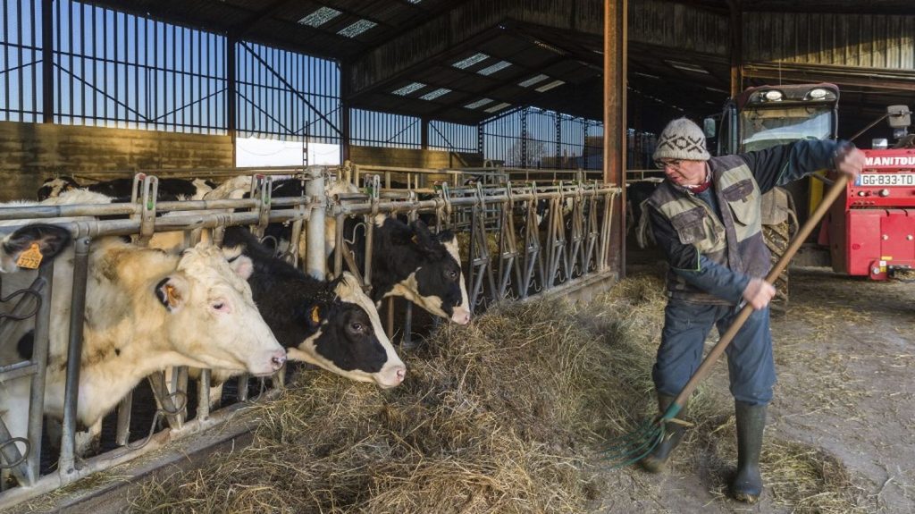 Le secteur agricole officiellement inclus dans les métiers en tension
L'arrêté ministériel, publié samedi au Journal officiel, concerne les agriculteurs, éleveurs, maraîchers et horticulteurs, viticulteurs et arboriculteurs, tous salariés.