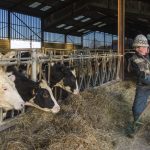 Le secteur agricole officiellement inclus dans les métiers en tension
L'arrêté ministériel, publié samedi au Journal officiel, concerne les agriculteurs, éleveurs, maraîchers et horticulteurs, viticulteurs et arboriculteurs, tous salariés.