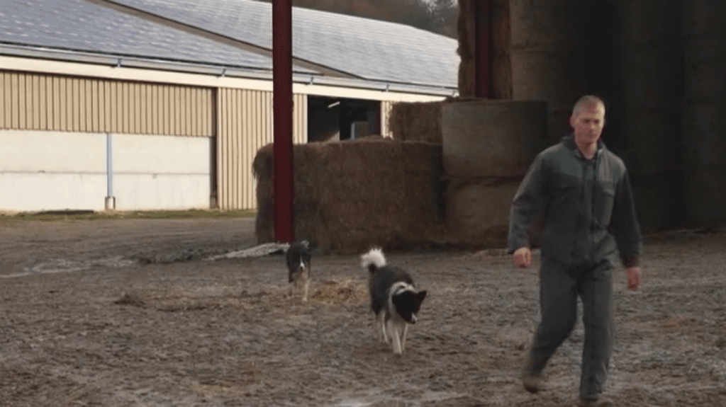 Corrèze : ces artisans et travailleurs qui font battre le cœur du département
Cette semaine, France Télévisions pose ses caméras en Corrèze. Elles suivront le quotidien d’un jeune éleveur très prometteur, d’une institutrice, du sauveur d’une corderie traditionnelle, de la patronne d’un café et d’une femme à la tête d’une agence matrimoniale.