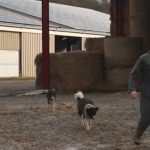 Corrèze : ces artisans et travailleurs qui font battre le cœur du département
Cette semaine, France Télévisions pose ses caméras en Corrèze. Elles suivront le quotidien d’un jeune éleveur très prometteur, d’une institutrice, du sauveur d’une corderie traditionnelle, de la patronne d’un café et d’une femme à la tête d’une agence matrimoniale.