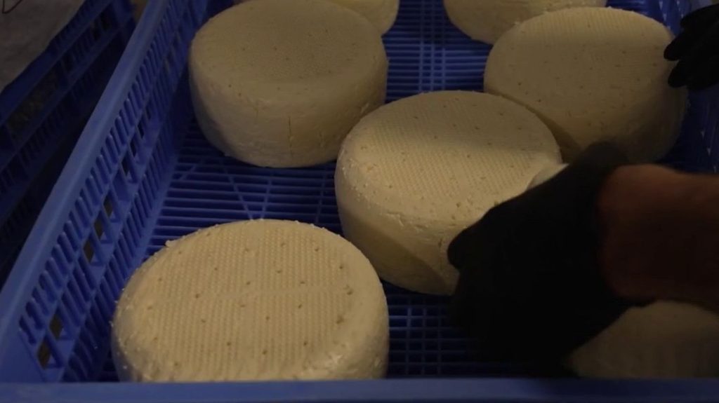 Hautes-Alpes : le bleu du Queyras espère avoir son AOP
Le département des Hautes-Alpes pourrait décrocher une AOP. C’est en tout cas la volonté des producteurs et fromagers qui voudraient l’obtenir pour le bleu du Queyras.