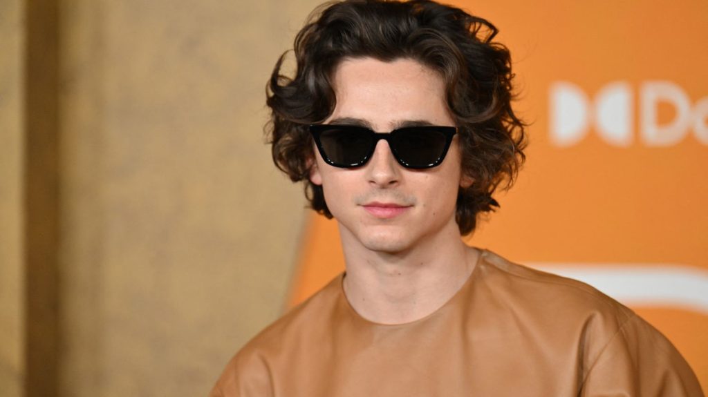 Timothée Chalamet dans le rôle de Bob Dylan : le tournage du biopic a démarré à New York
Après Elvis, Bob Marley, Freddie Mercury, ce film sur Bob Dylan vient s'ajouter à la longue liste des biopics sur des légendes du rock et de la pop.