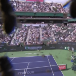 États-Unis : un match de tennis interrompu par une invasion d'abeilles en Californie
En Californie, aux États-Unis, des abeilles ont perturbé le quart de finale du tournoi de tennis d'Indian Wells, jeudi 14 mars, entre Carlos Alcaraz et Alexander Zverev. Un apiculteur a été appelé en renfort face à cette véritable invasion, et la rencontre a pu reprendre après deux heures d'interruption.