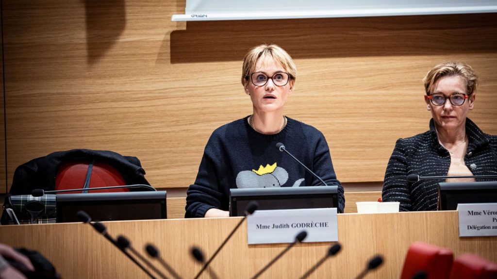 Judith Godrèche demande une commission d'enquête parlementaire sur le cinéma visant à mieux protéger les enfants sur les tournages
A l'issue de l'audition de l'actrice, mercredi, la présidente de la délégation aux droits des enfants, Perrine Goulet, a assuré que sa délégation et celle dédiée aux droits des femmes allaient "continuer ce combat."