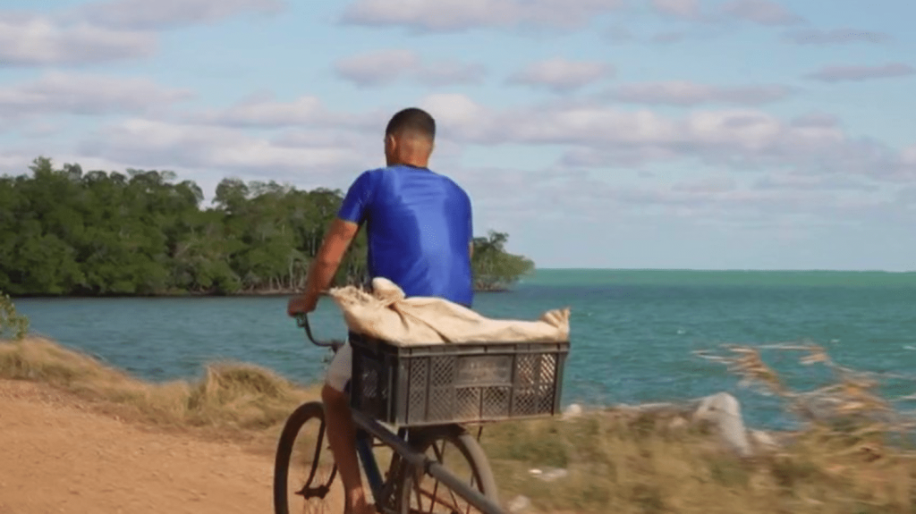 Tourisme : Cuba fait le pari de l’authenticité
Si Cuba, qui traverse une crise économique profonde, a beaucoup misé sur le tourisme, le nombre de visiteurs a chuté de moitié depuis la pandémie de Covid-19. Comment l'île tente-t-elle de séduire une nouvelle clientèle? Direction Cayo Jutías, à cinq heures de La Havane.
