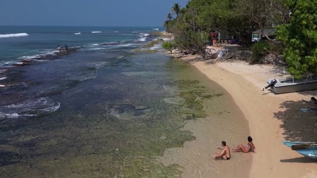 Français de l’étranger : ce cuisinier a refait sa vie au Sri Lanka
Le 13 Heures vous emmène au Sri Lanka, l’un des trésors de l'Océan Indien. C’est la nouvelle vie qu'ont choisie Robin et David, deux Bordelais qui ont tout quitté pour s'installer dans un village de pêcheurs.