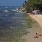 Français de l’étranger : ce cuisinier a refait sa vie au Sri Lanka
Le 13 Heures vous emmène au Sri Lanka, l’un des trésors de l'Océan Indien. C’est la nouvelle vie qu'ont choisie Robin et David, deux Bordelais qui ont tout quitté pour s'installer dans un village de pêcheurs.