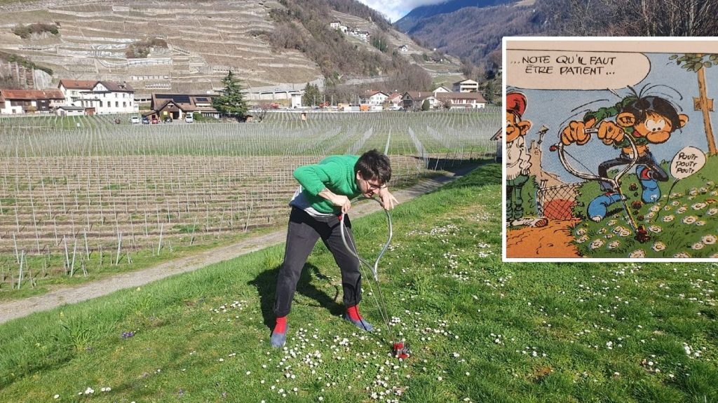 "Un gag qui m'a beaucoup touché" : un fan de Gaston Lagaffe fabrique sa tondeuse miniature pour éviter les pâquerettes
David Foutimasseur, touche-à-tout suisse de 37 ans, passe des heures dans un atelier pour concevoir des machines loufoques. Il puise régulièrement dans l'univers poétique du dessinateur Franquin.
