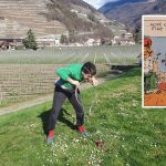 "Un gag qui m'a beaucoup touché" : un fan de Gaston Lagaffe fabrique sa tondeuse miniature pour éviter les pâquerettes
David Foutimasseur, touche-à-tout suisse de 37 ans, passe des heures dans un atelier pour concevoir des machines loufoques. Il puise régulièrement dans l'univers poétique du dessinateur Franquin.