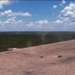 Déforestation : la forêt du Cerrado, au Brésil, menacée par la production de soja
Au Brésil, la forêt du Cerrado est menacée de disparition par l'exploitation du soja, dont une partie de la production est exportée en France pour nourrir le bétail. Une pratique non-conforme aux engagements de la France.