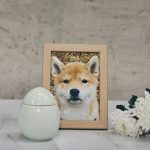 Corée du Sud : les funérailles des animaux de compagnie subventionnées par les pouvoirs publics
De plus en plus de familles coréennes veulent organiser de véritables funérailles pour leur chien ou leur chat, mais cela coûte cher. Alors, la mairie de Séoul a commencé à distribuer des subventions publiques à ses habitants les moins aisés.