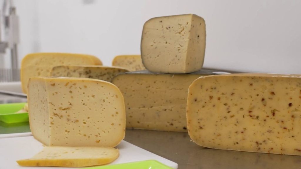 Gastronomie : du gouda produit au cœur de la Normandie
Si la Normandie est connue pour son camembert, du gouda est aussi produit dans la région par un éleveur hollandais installé dans l'Orne depuis plus de 30 ans.