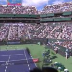 Tennis : à Indian Wells, une horde d'abeilles interrompt le match Alcaraz-Sverev
Jeudi 14 mars, des milliers d'abeilles ont envahi le court lors de la rencontre entre Carlos Alcaraz et Alexander Sverez. Alors qu'un apiculteur est intervenu pour les aspirer, le match a pu reprendre après deux heures d'interruption.