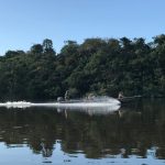 Reportage
Barrage sur le fleuve, destruction de campement dans la forêt… On a suivi la légion étrangère qui lutte contre l'orpaillage illégal en Guyane française
Emmanuel Macron est attendu lundi en Guyane. Ce territoire est confronté à de multiples défis et notamment la lutte contre l'orpaillage illégal qui est un véritable fléau écologique dans ce département français.