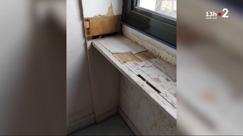 Île-de-France : la vétusté touche plus d'un lycée sur cinq
En Seine-Saint-Denis, des élèves et des professeurs d’un lycée ont réalisé une vidéo pour alerter sur leurs conditions de travail au quotidien, évoquant notamment un manque criant de moyens. Près de 30% des lycées franciliens sont en très mauvais état.