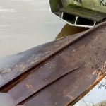 Nord : une jeune migrante de 7 ans meurt noyée lors du naufrage d'une embarcation
Une jeune fille de 7 ans s'est noyée lors du naufrage d'une embarcation, avec 16 migrants à son bord, sur le canal de l'Aa dans le Nord, dimanche 3 mars.