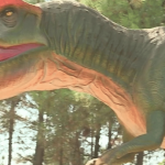 Biodiversité : dans l'Ain, des riverains s'opposent au projet d'ouverture d’un parc à thème
L’ouverture prochaine d’un parc de dinosaures situé à Trévoux (Ain) divise. Les habitants dénoncent des nuisances sonores, un impact sur l’environnement.