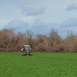 Environnement : comment utiliser moins de pesticides dans les champs ?
Certains agriculteurs multiplient les techniques pour se passer autant que possible de produits chimiques dans leurs exploitations. Exemples.