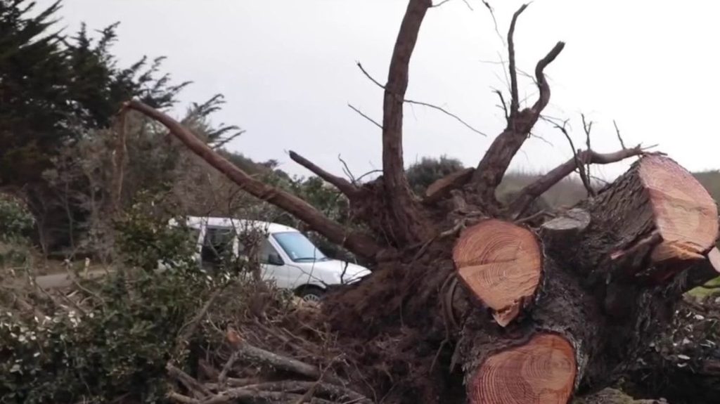 Tempête Nelson : place aux réparations sur l'Île d'Yeu
Depuis que l'île d'Yeu, en Vendée, a subi les dégats de la tempête Nelson, mercredi 27 mars, artisans et riverains viennent en aide aux sinistrés.