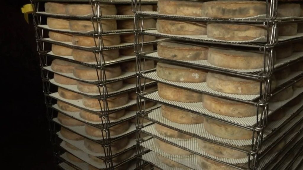 Fromage : les producteurs de saint-nectaire contre un nouvel étiquetage
L’un des fromages les plus emblématiques d’Auvergne, le saint-nectaire, est concerné par un nouveau décret concernant l’étiquetage qui pourrait porter préjudice au célèbre fromage rond à pâte blonde.