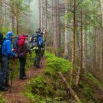Sports et nature : "Il y avait plein de chemins traditionnels, souligne Jean Viard, mais les gens ont essayé de casser les droits de passage historiques"
La 30e édition des Journées des Chemins se déroule en France jusqu'au 17 mars. Des milliers de bénévoles œuvrent depuis 1994 à la sauvegarde des chemins ruraux, indispensables à la pratique des sports de nature, et à la bonne entente entre les différents usagers.
