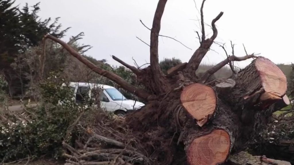 Intempéries : la solidarité s'organise sur l'île d'Yeu
Mercredi 27 mars, l’île d'Yeu, en Vendée, a subi les dégâts de la tempête Nelson. Depuis, un élan de solidarité s'organise pour venir en aide aux sinistrés.