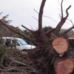 Intempéries : la solidarité s'organise sur l'île d'Yeu
Mercredi 27 mars, l’île d'Yeu, en Vendée, a subi les dégâts de la tempête Nelson. Depuis, un élan de solidarité s'organise pour venir en aide aux sinistrés.
