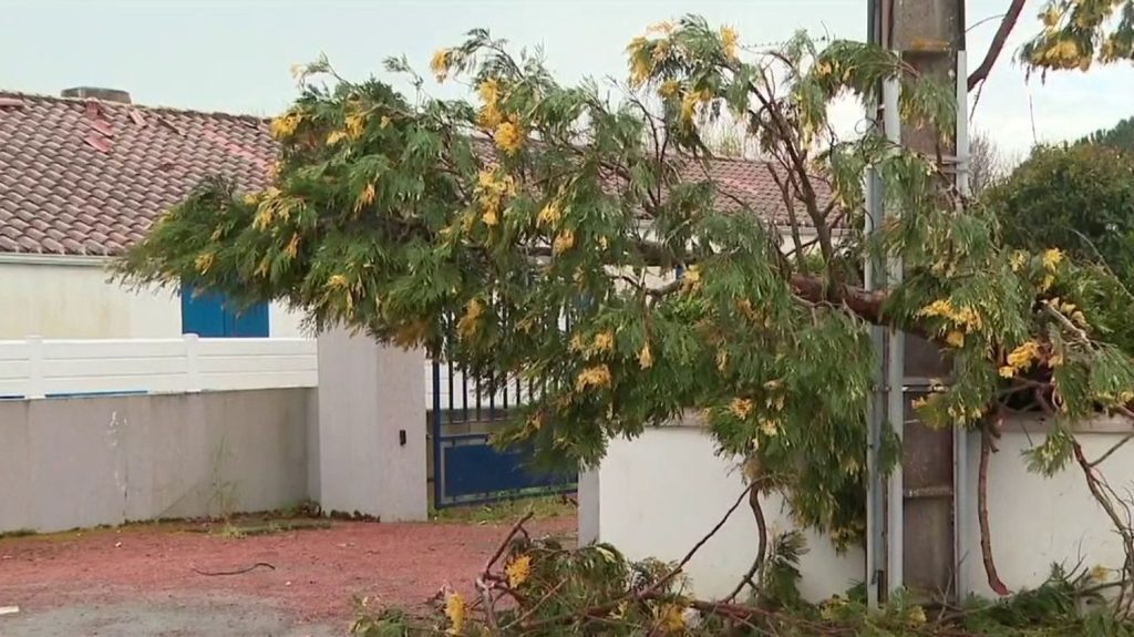 Tempête Nelson : des rafales jusqu’à plus de 180 km/h
Alors que six départements sont en alerte orange jeudi 28 mars, de gros dégâts ont été constatés par endroits. La tempête Nelson a commencé à balayer l'Ouest, et notamment la Vendée, où l'île d'Yeu et la ville de Challans ont été durement touchées par un phénomène très localisé.
