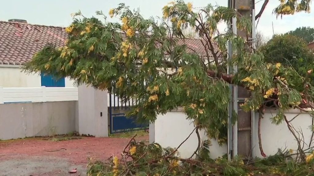 Tempête Nelson : de fortes rafales et des dégâts matériels en Vendée
Alors que six départements sont en alerte orange jeudi 28 mars, de gros dégâts ont été constatés par endroits. La tempête Nelson a commencé à balayer l'Ouest, et notamment la Vendée, où la ville de Challans a été durement touchée par un phénomène très localisé.