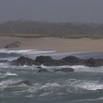 Tempête Nelson : les éléments se déchaînent en Bretagne
Dans le Finistère, des rafales allant jusqu'à 180 km/h ont été enregistrées. La tempête Nelson a en effet débuté ici dans la matinée du jeudi 28 mars.