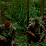 Guyane : le département français, plaque tournante du trafic de cocaïne, infiltré par des gangs brésiliens ultra-violents
La lutte contre les trafics est au cœur du déplacement d'Emmanuel Macron en Guyane à partir de lundi.