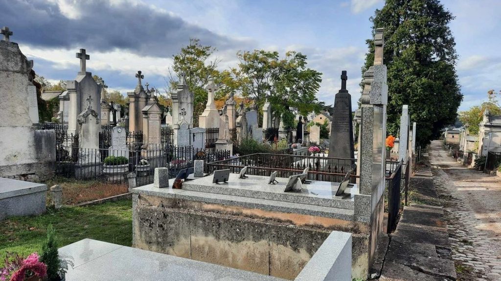 Vents violents : Lyon et Saint-Étienne ferment leurs parcs, jardins et cimetières
Les département du Rhône et de la Loire sont placés en vigilance orange par Météo France pour "vents".