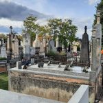 Vents violents : Lyon et Saint-Étienne ferment leurs parcs, jardins et cimetières
Les département du Rhône et de la Loire sont placés en vigilance orange par Météo France pour "vents".