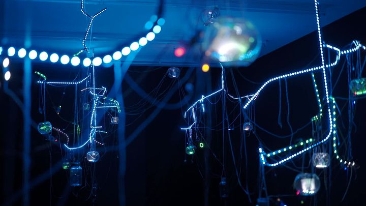L'exposition immersive 'Bestioles électroniques' de l'artiste Marylou était également à découvrir à l'occasion du festival 'D'autres formes' de Besançon. (France 3 Franche-Comté : E. Deshayes / D. Martin / Q. Dany)
