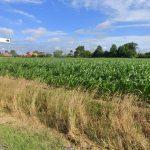 "J'ai cru que c'était une blague" : 250 ouvriers chinois vont s'installer dans un petit village du Pas-de-Calais
Ces ouvriers sont envoyés dans le cadre du projet de décarbonation de la cimenterie de Lumbres. Un village miniature, situé à proximité du site, va les accueillir. Il sera démonté dans deux ans, quand ils quitteront le site.
