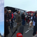Aides aux agriculteurs : "Le compte n’y est toujours pas", déclare Véronique Le Floc’h, présidente de la Coordination rurale
Le plan dévoilé samedi 27 avril par le gouvernement pour venir en aide aux agriculteurs est-il de nature à clore définitivement la crise ? Le 12/13 info a interrogé Véronique Le Floc’h, président de la Coordination rurale, sur le sujet.
