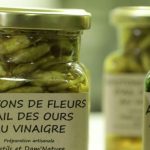 Gastronomie : l'ail des ours, de la forêt à l'assiette
Plante sauvage qu'il suffit de ramasser dans les bois, l'ail des ours est mis à l'honneur dans la rubrique "Les petits plats dans l'écran" du samedi 27 avril.