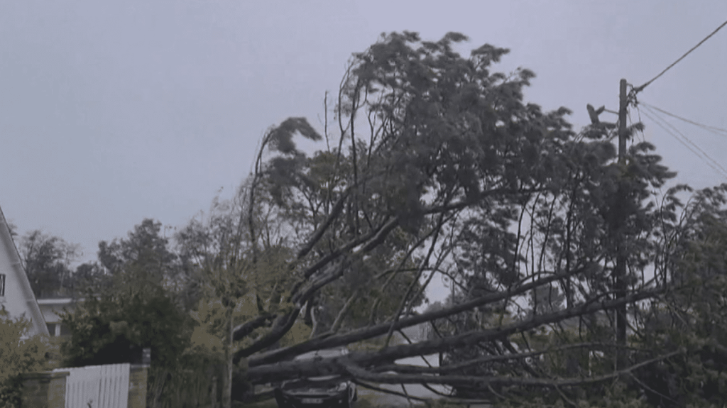Catastrophes climatiques : comment permettre aux assureurs de faire face au coût des dommages ?
À l'horizon 2050, le coût des dommages liés au climat pourrait connaître une hausse de 50%. Des experts formulent 11 objectifs majeurs au gouvernement pour remettre à l'équilibre le régime des catastrophes climatiques des assureurs, dans un rapport rendu mardi 2 avril.