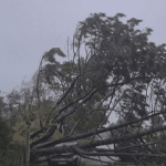 Catastrophes climatiques : comment permettre aux assureurs de faire face au coût des dommages ?
À l'horizon 2050, le coût des dommages liés au climat pourrait connaître une hausse de 50%. Des experts formulent 11 objectifs majeurs au gouvernement pour remettre à l'équilibre le régime des catastrophes climatiques des assureurs, dans un rapport rendu mardi 2 avril.
