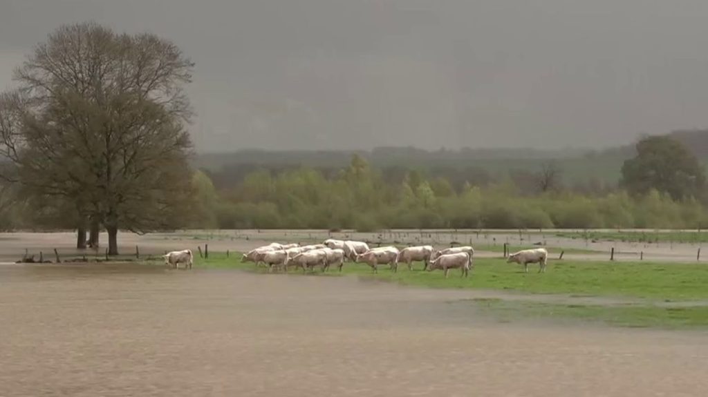 Crues : des inondations inquiétantes en Saône-et-Loire et en Côte-d'Or
Les intempéries ont provoqué d'importantes crues dans la Saône-et-Loire et la Côte-d'Or, lundi 1er avril. Des inondations ont causé de nombreux dégâts chez les habitants de ces deux départements.