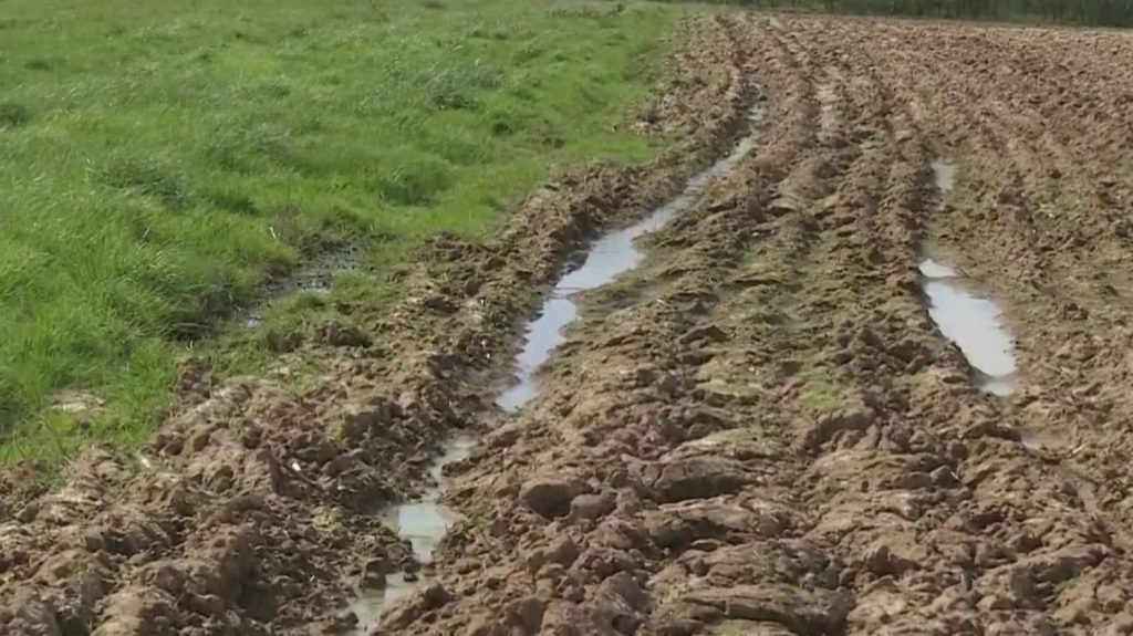 Agriculture : les cultures gorgées d’eau
La pluie est tombée presque sans discontinuer depuis un mois dans certains départements. Les agriculteurs ont les pires difficultés à semer dans leurs cultures à cause des champs boueux.