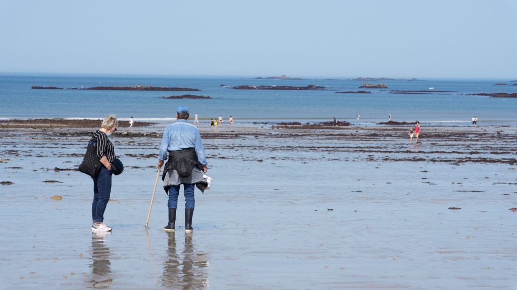Grandes marées dans la Manche : deux pêcheurs à pied meurent noyés
Deux septuagénaires se sont fait prendre par les grandes marées dans la Manche et sont morts noyés. Une troisième femme est gravement blessée.