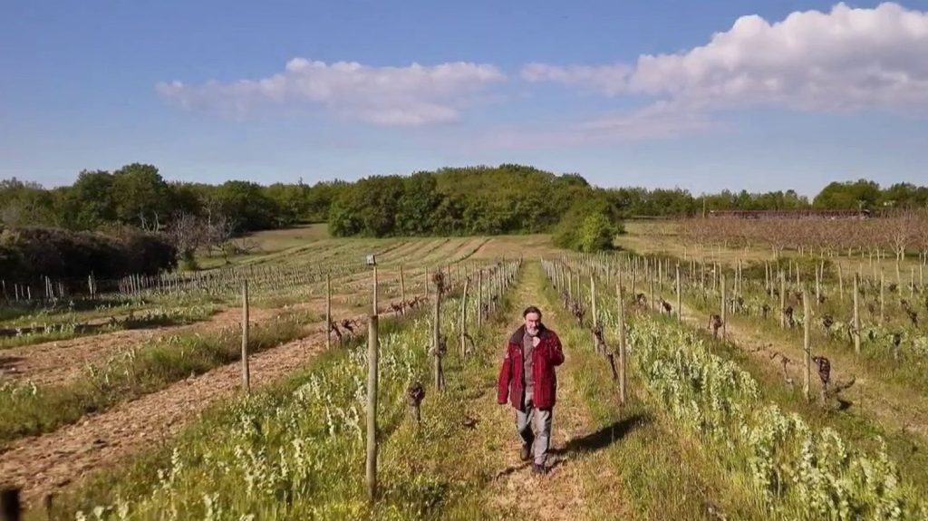 Gel et grêles : les cultures des agriculteurs endommagées
L'orage de grêle a particulièrement touché le secteur de Villeneuve-Loubet et pour les agriculteurs, les plantations ont gelé et tout est à recommencer.
