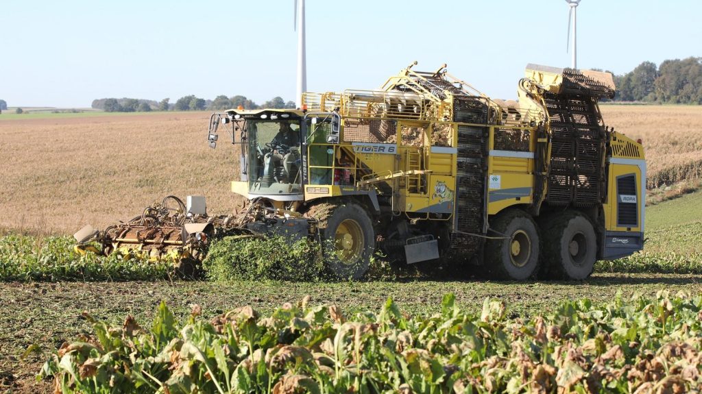 Agriculture : le gouvernement accorde aux betteraviers des "dérogations nécessaires pour protéger leur culture", annonce Agnès Pannier-Runacher
La ministre déléguée auprès du ministre de l'Agriculture annonce sur France Bleu Nord une dérogation pour protéger les cultures de betteraves.