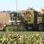 Agriculture : le gouvernement accorde aux betteraviers des "dérogations nécessaires pour protéger leur culture", annonce Agnès Pannier-Runacher
La ministre déléguée auprès du ministre de l'Agriculture annonce sur France Bleu Nord une dérogation pour protéger les cultures de betteraves.