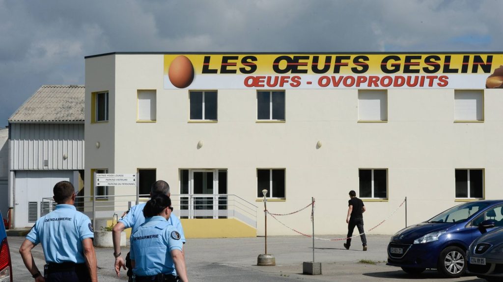 Vendée : le producteur d’œufs Geslin visé par une enquête pour falsifications et tromperies
La procureure de La-Roche-sur-Yon a ouvert une enquête après des conclusions de la DGCCRF.